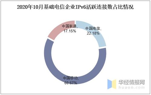 2020年IPv6行業(yè)發(fā)展現(xiàn)狀及競(jìng)爭(zhēng)格局分析——數(shù)據(jù)處理和存儲(chǔ)支持服務(wù)展望